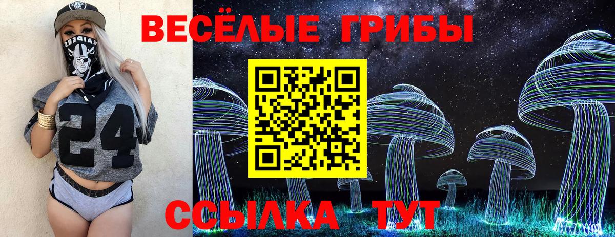 Ступино  Псилоцибиновые грибы Cubensis  наркошоп  Вход с VPN 