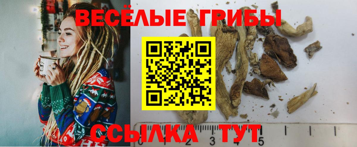 Псилоцибиновые грибы Cubensis Ступино